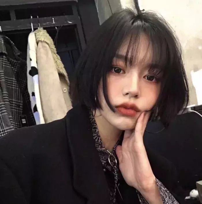 燕子与鹦鹉